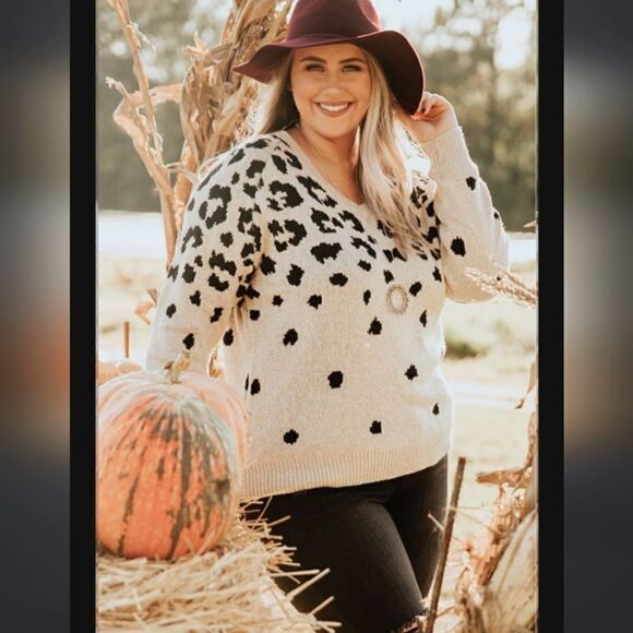 Love tree cheetah print sweater  sz small NWT - Picture 1 of 9
